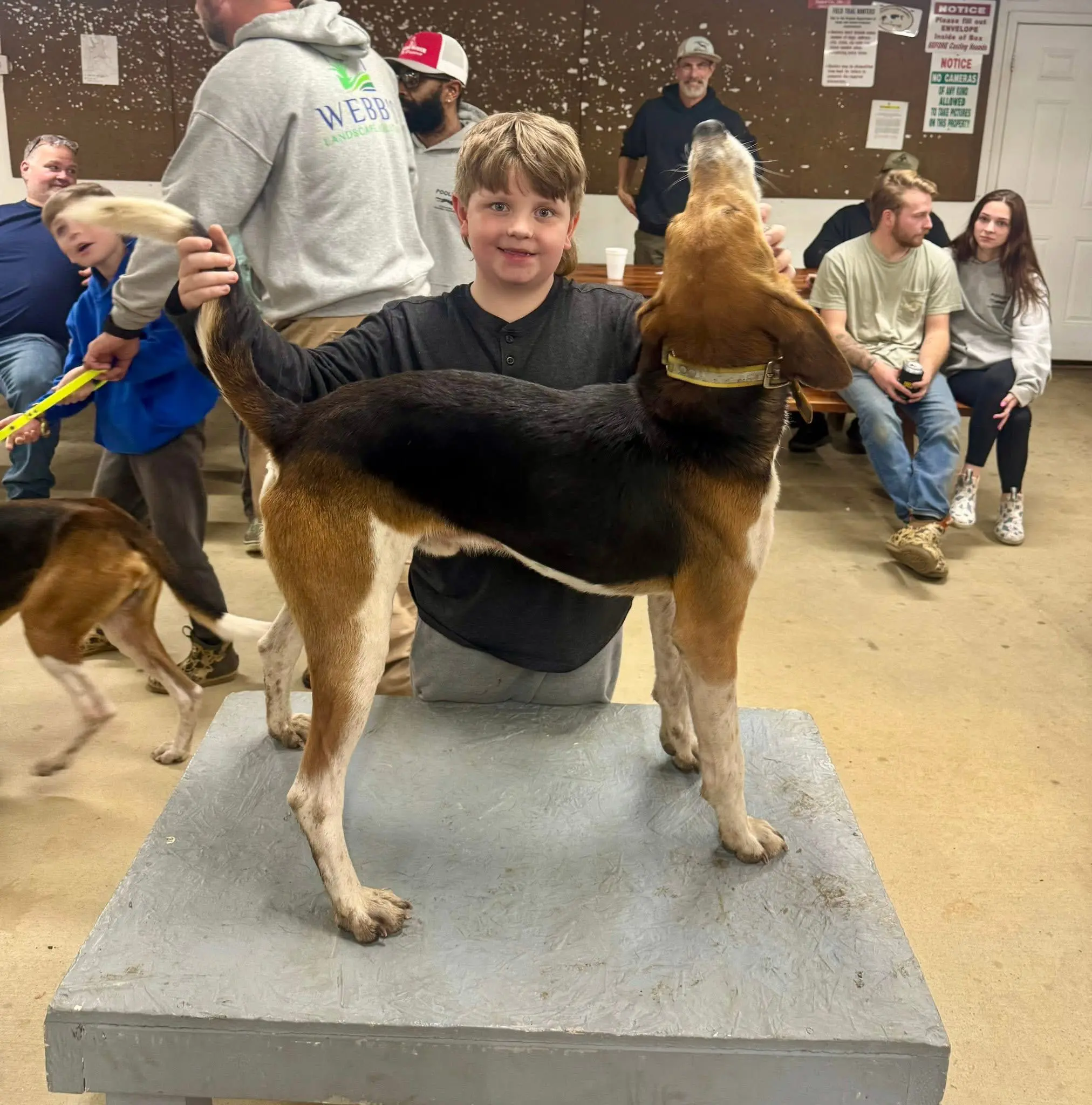 Boy presenting a dog on a platform.