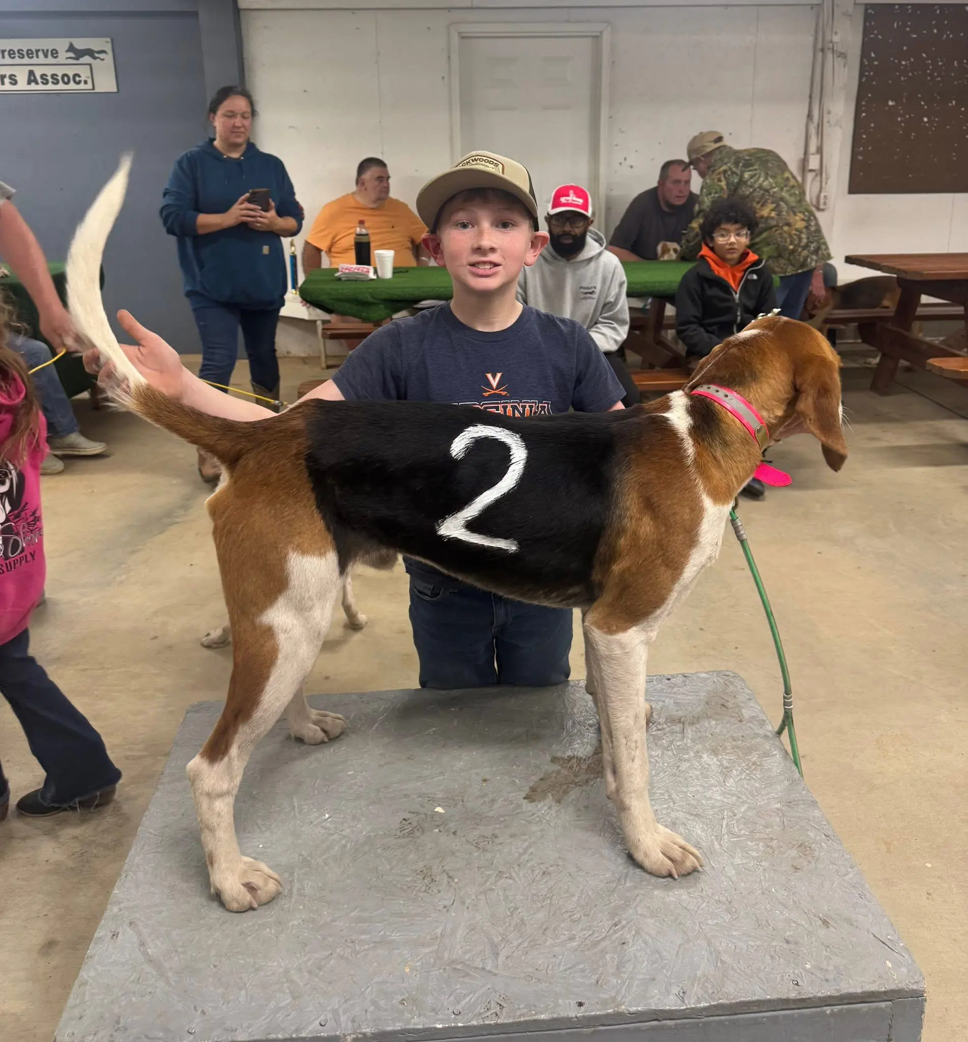 Child with a numbered hunting dog indoors.