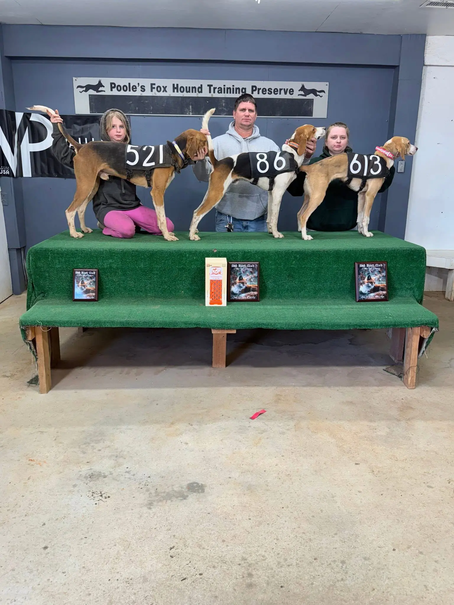 People with three dogs on a platform.