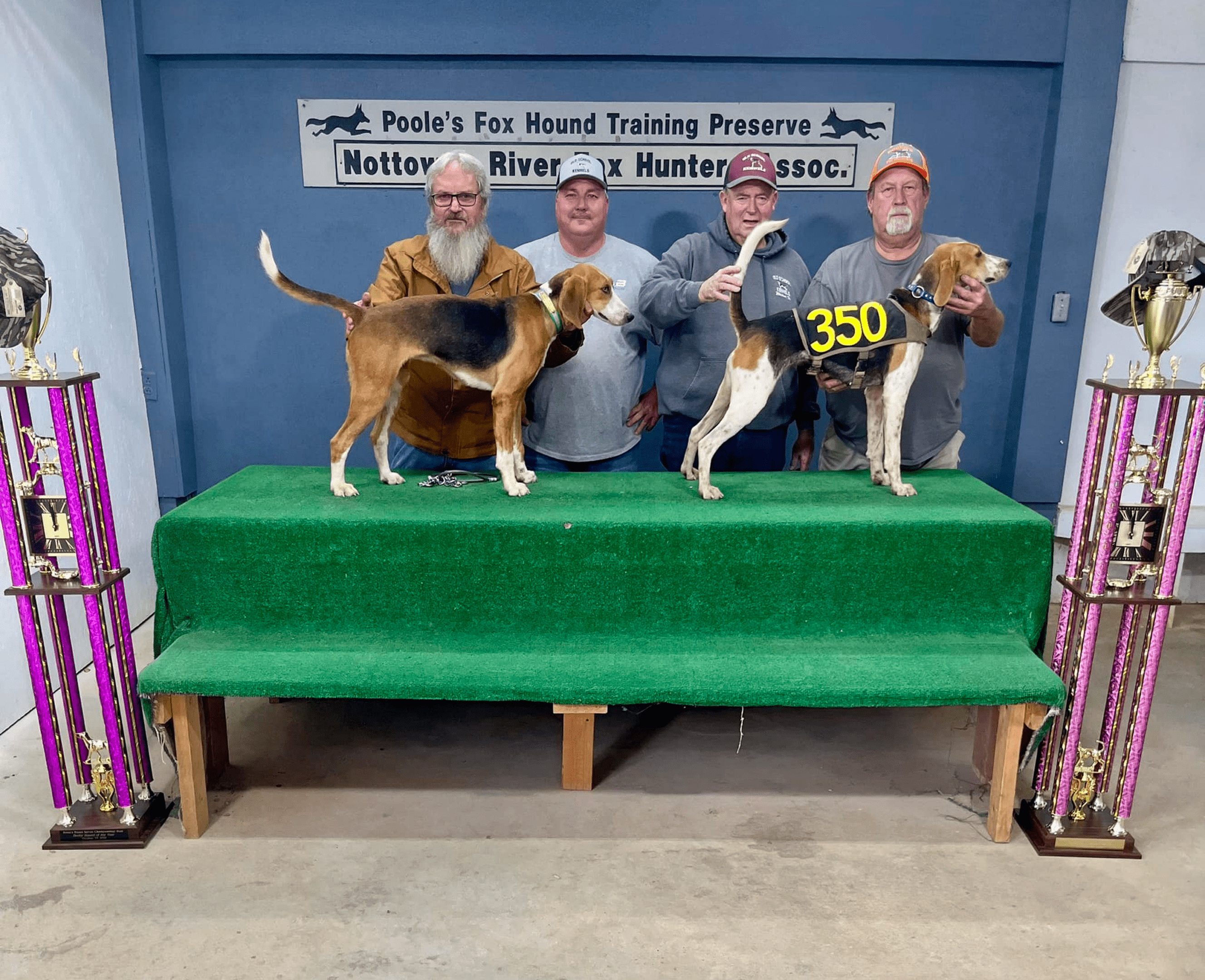 Two dogs on podium with four men.